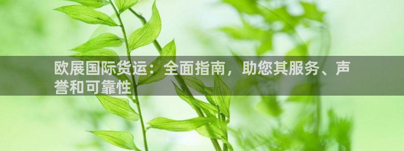 尊龙eight is enough：欧展国际货运：全面指