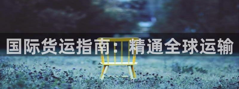 尊龙凯时 人生就是搏：国际货运指南：精通全球运输