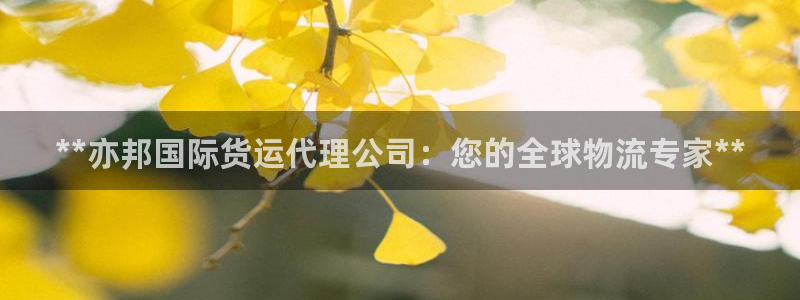 尊龙凯时vip：**亦邦国际货运代理公司：您的全球物流专