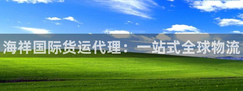 尊龙旗舰厅：海祥国际货运代理：一站式全球物流