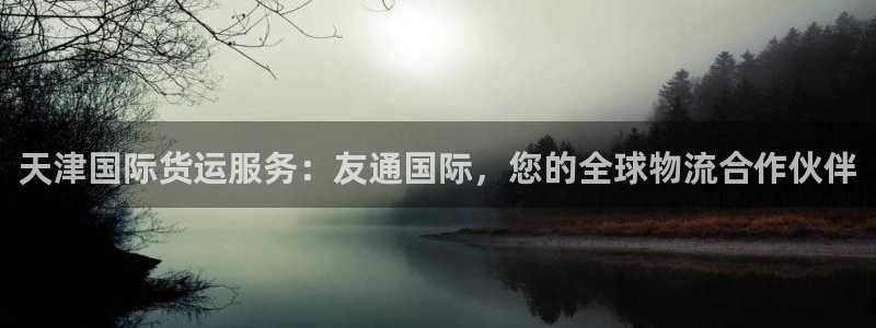 尊龙人生就是博首页入口：天津国际货运服务：友通国际，您的