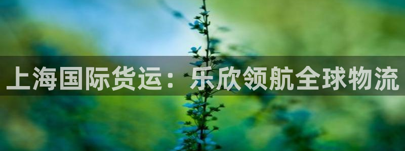 尊龙凯时人生就是搏包装优势：上海国际货运：乐欣领航全球物