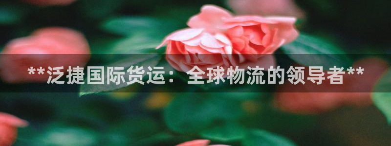 尊龙凯时人生就是搏官：**泛捷国际货运：全球物流的领导者