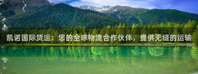 尊龙人生就是博旧版：凯诺国际货运：您的全球物流合作伙伴，