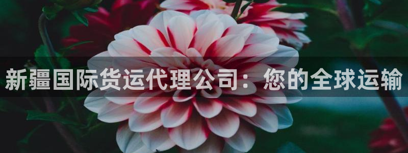 尊龙凯时有限公司：新疆国际货运代理公司：您的全球运输