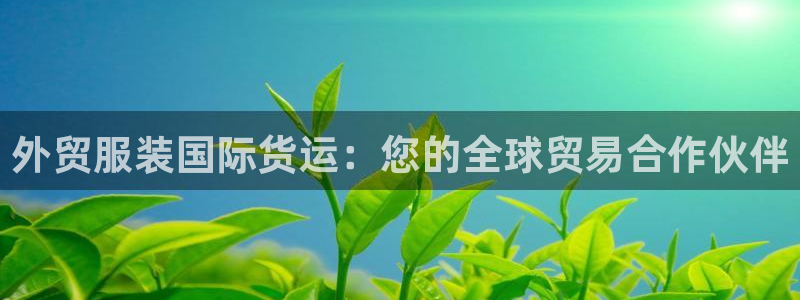 尊龙人生就是博现金：外贸服装国际货运：您的全球贸易合作伙