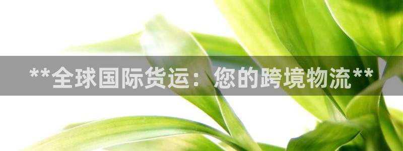 尊龙集团有限公司官网地址：**全球国际货运：您的跨境物流