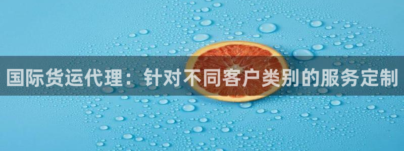 尊龙凯时ag旗舰厅官方网站：国际货运代理：针对不同客户类