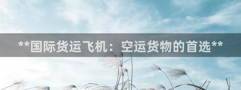 尊龙集团有限公司招聘：**国际货运飞机：空运货物的首选*