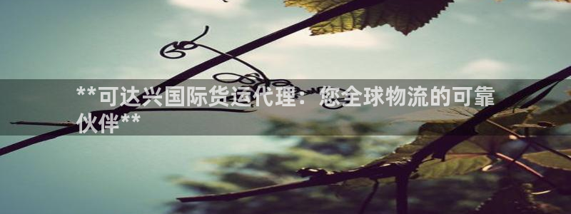 尊龙网站人生就是博：**可达兴国际货运代理：您全球物流的