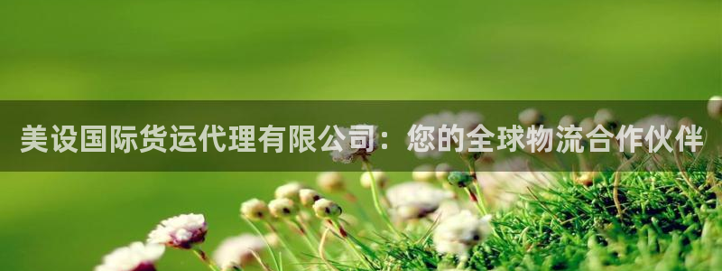 尊龙官网在哪里：美设国际货运代理有限公司：您的全球物流合