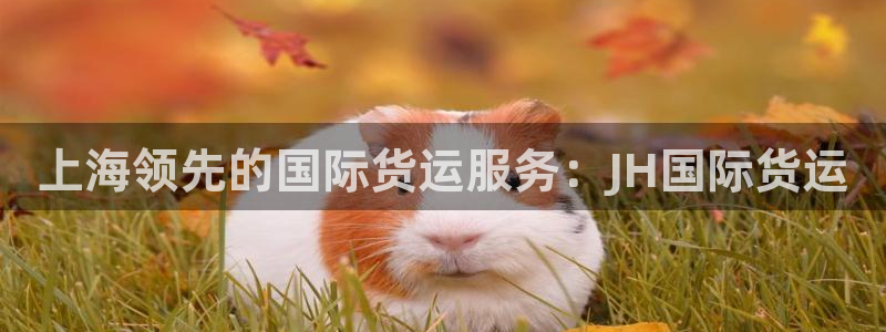 尊龙人生就是博用现金玩一下：上海领先的国际货运服务：JH