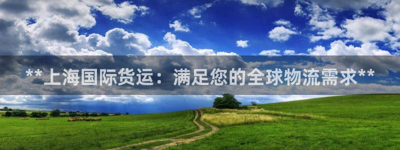 尊龙d88现金 旧版本可靠送38元：**上海国际货运：满