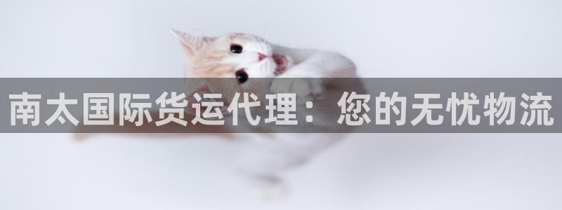 尊龙网站登录：南太国际货运代理：您的无忧物流