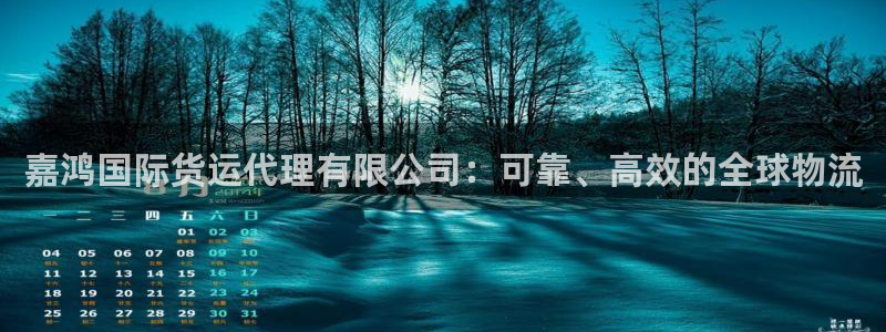 尊龙游戏官方网：嘉鸿国际货运代理有限公司：可靠、高效的全
