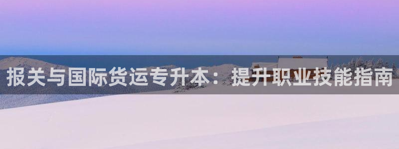 尊龙凯时合法吗?：报关与国际货运专升本：提升职业技能指南