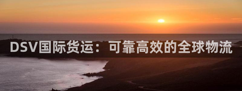 尊龙人生就是博管网：DSV国际货运：可靠高效的全球物流
