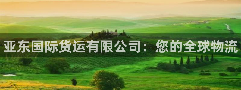 尊龙最新版：亚东国际货运有限公司：您的全球物流
