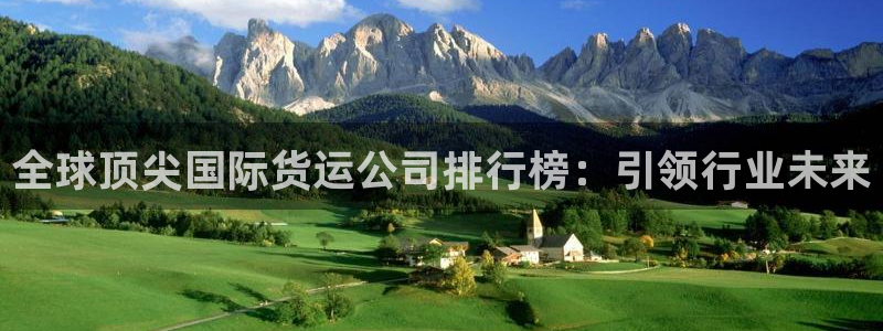 尊龙凯时邀请码：全球顶尖国际货运公司排行榜：引领行业未来