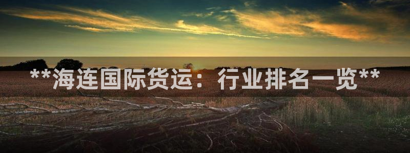 尊龙凯时存款不上分：**海连国际货运：行业排名一览**