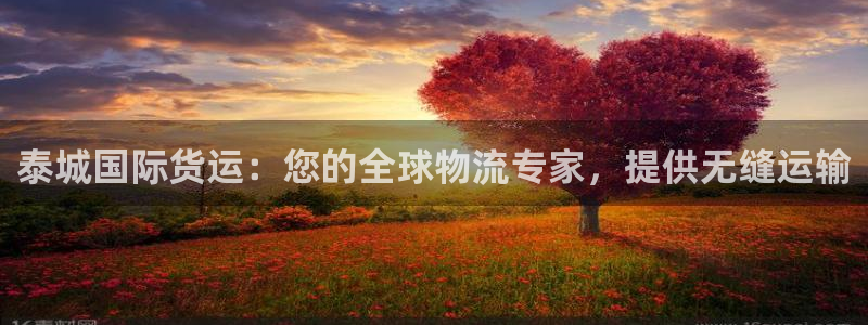 尊龙凯时贴吧：泰城国际货运：您的全球物流专家，提供无缝运