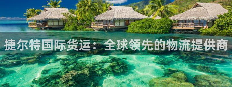 尊龙手机版：捷尔特国际货运：全球领先的物流提供商
