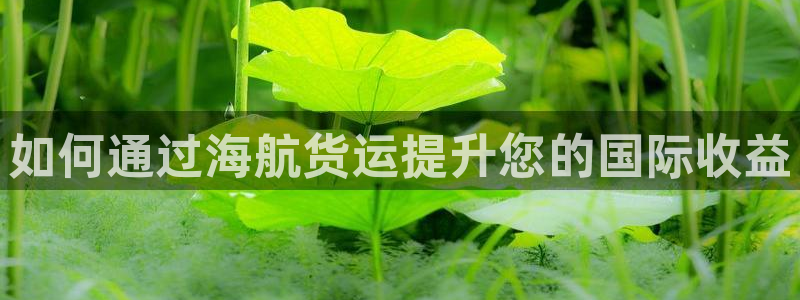 尊龙 6：如何通过海航货运提升您的国际收益