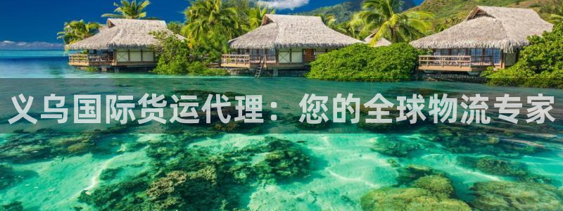尊龙z6网址：义乌国际货运代理：您的全球物流专家