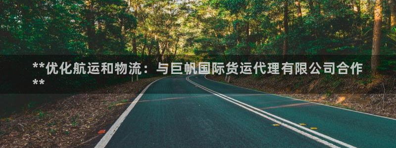尊龙人生就是博官：**优化航运和物流：与巨帆国际货运代理