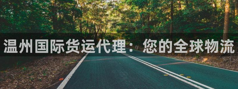 尊龙凯时是哪个国家的：温州国际货运代理：您的全球物流
