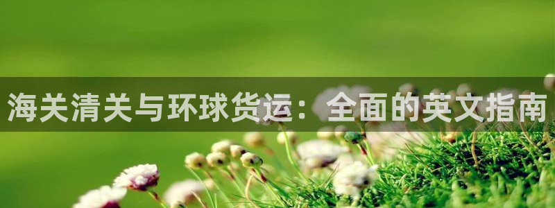 尊龙人生就是博官网登录手机：海关清关与环球货运：全面的英