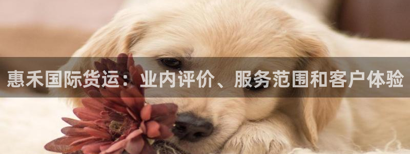 尊龙凯时网娱乐最新版下载：惠禾国际货运：业内评价、服务范
