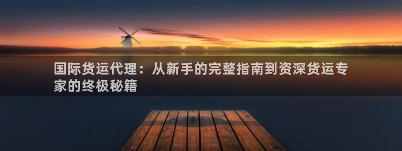 尊龙实业有限公司：国际货运代理：从新手的完整指南到资深货