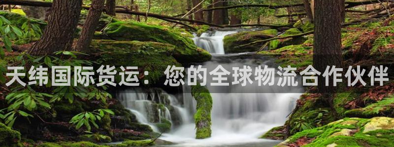 尊龙凯时网页版：天纬国际货运：您的全球物流合作伙伴