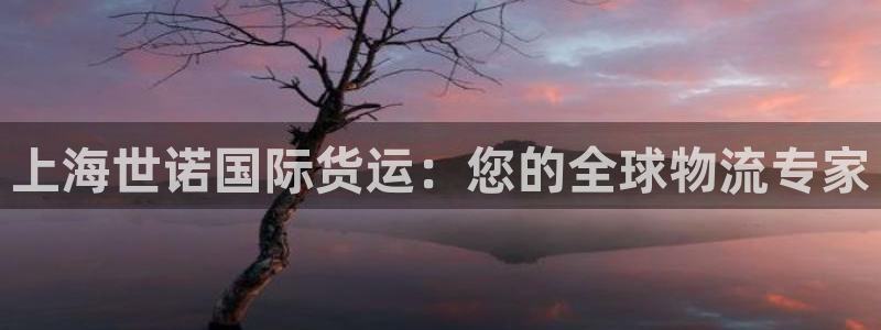 尊龙官网首页：上海世诺国际货运：您的全球物流专家