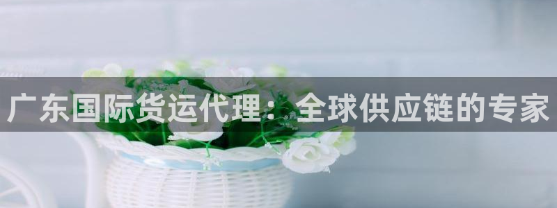 旧版尊龙人生就是博下载：广东国际货运代理：全球供应链的专
