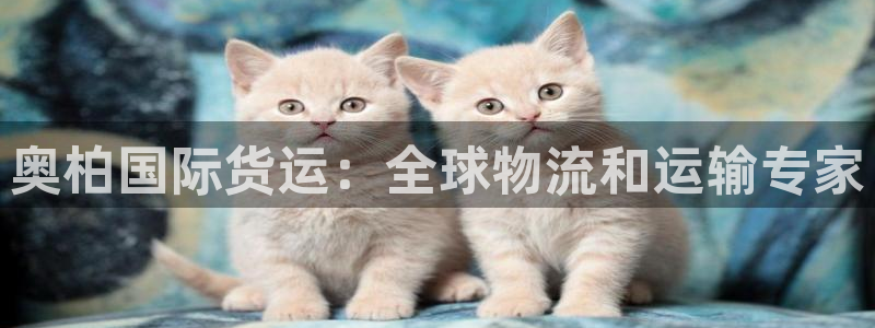 尊龙人生就是博登录首页：奥柏国际货运：全球物流和运输专家