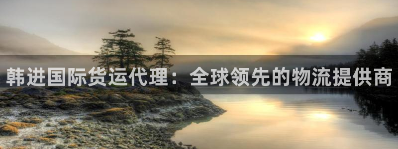 尊龙人生就是博旧：韩进国际货运代理：全球领先的物流提供商