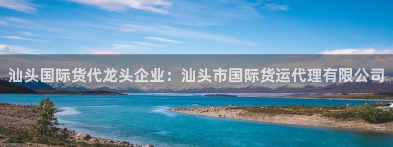 尊龙凯时城娱乐：汕头国际货代龙头企业：汕头市国际货运代理