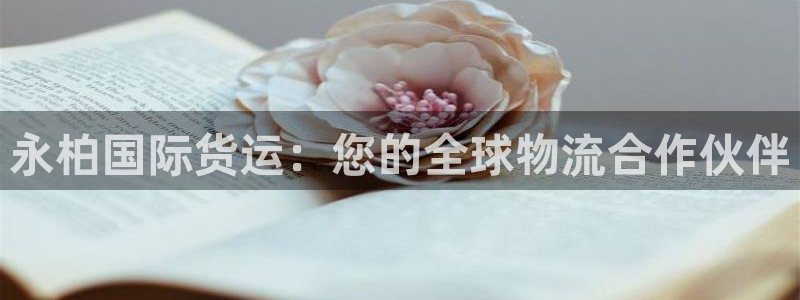 尊龙人生就是博登录：永柏国际货运：您的全球物流合作伙伴