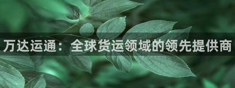 尊龙人生就是-首页(中国)有限公司：万达运通：全球货运领