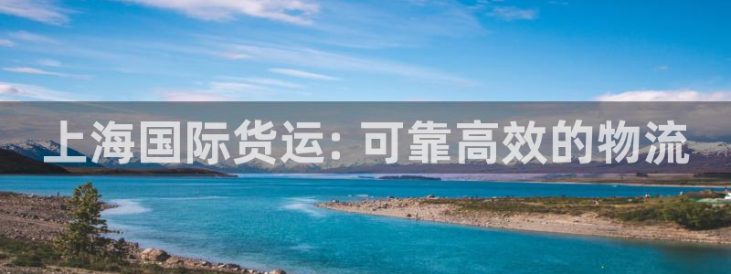 尊龙凯时人生就博：上海国际货运: 可靠高效的物流