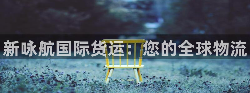尊龙官网国际：新咏航国际货运：您的全球物流