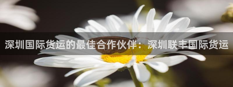 尊龙新版app：深圳国际货运的最佳合作伙伴：深圳联丰国际