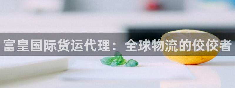 尊龙网站注册网：富皇国际货运代理：全球物流的佼佼者