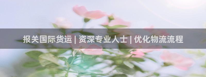 尊龙凯时注册入口：报关国际货运 | 资深专业人士 | 优