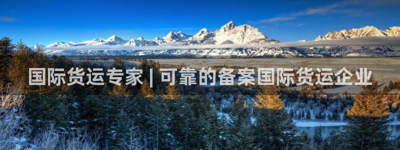 尊龙凯时产品系列：国际货运专家 | 可靠的备案国际货运企