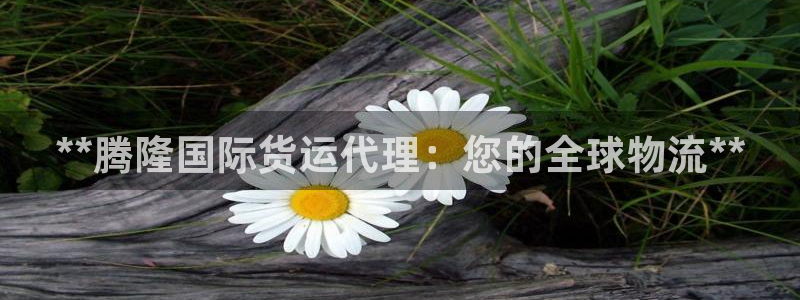 尊龙凯时人生就是搏首页：**腾隆国际货运代理：您的全球物