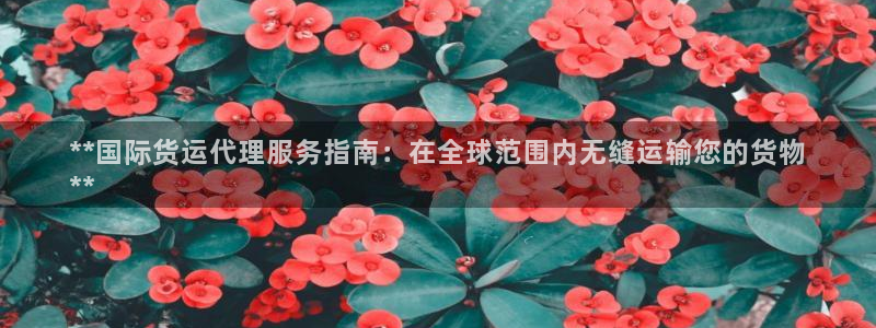 尊龙新版app：**国际货运代理服务指南：在全球范围内无
