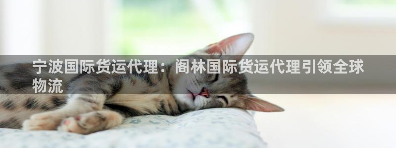 ag尊龙凯时俱乐部：宁波国际货运代理：阁林国际货运代理引